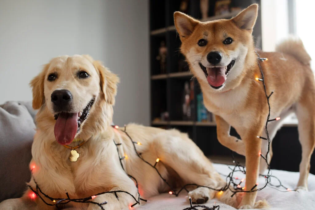 Dark Golden Retriever Ornaments 