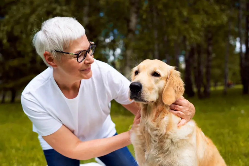 allergic to Golden Retriever hair